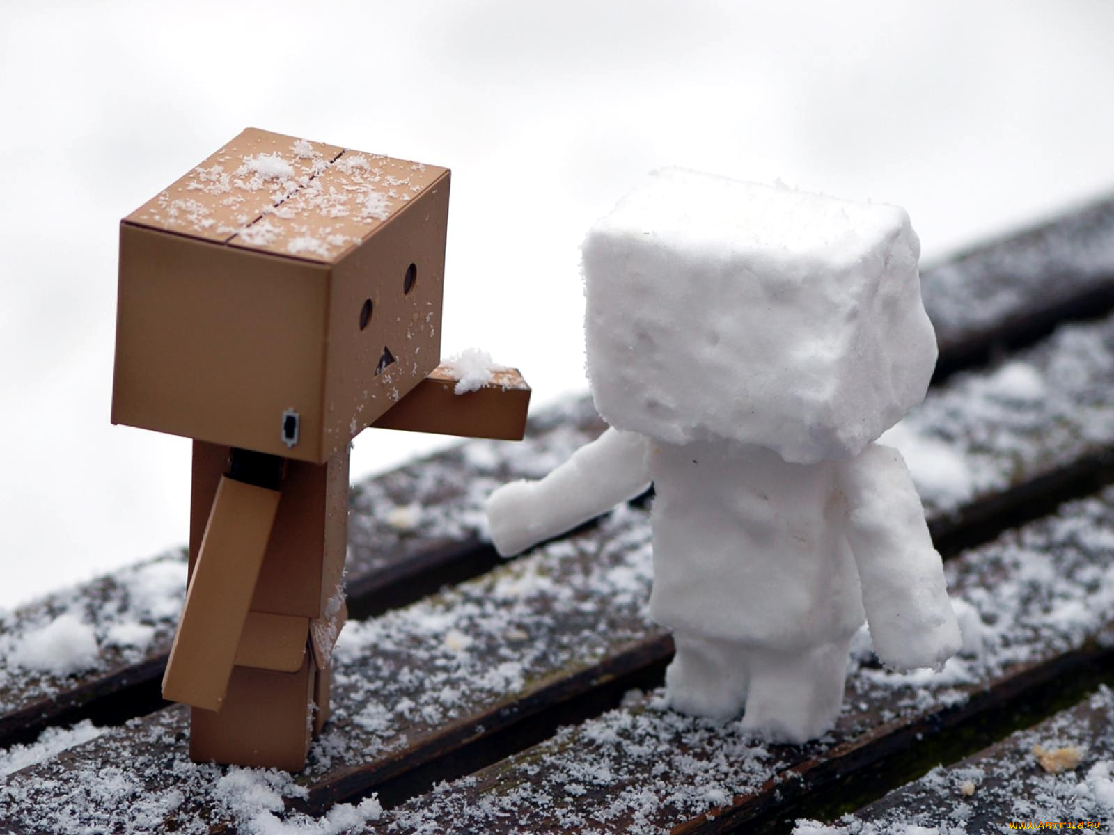 , , danboard, , 